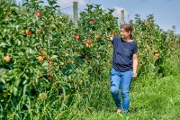 Nachhaltig Schlemmen in Bayerisch-Schwaben