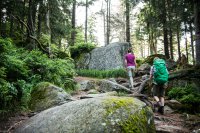 Wanderhighlights im Fichtelgebirge