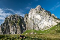 Pfrontener Bergerlebnisse für kleine Gipfelstürmer