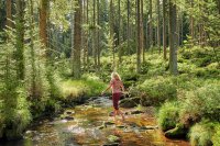 Vier Gesundheitsorte im Fichtelgebirge mit zertifizierten Kurwäldern