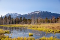 Pfrontens goldene Fotostopps im Herbst