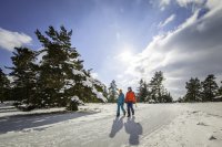 Zwischen winterlichen Tänzen und märchenhaften Ausblicken auf der Schwäbischen Alb