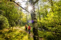 Den Nördlichen Schwarzwald in 2023 neu entdecken