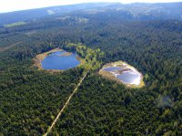 Interaktiv die Hochmoorlandschaft Kaltenbronn erkunden