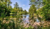 Purer Naturgenuss im Südpfälzer Bienwald