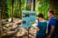 Purer Naturgenuss im Südpfälzer Bienwald