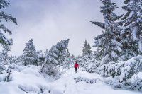 Wandern in Süddeutschlands Winterwunderland