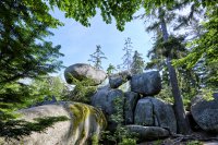 Die Kraftquelle Wald im Fichtelgebirge