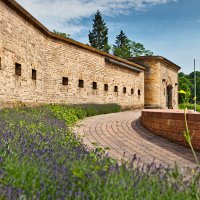 Alte Festungen und nasse Wiesen: Kulturelles Erbe in der Südpfalz erleben