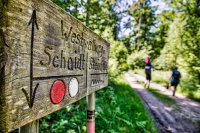 Alte Festungen und nasse Wiesen: Kulturelles Erbe in der Südpfalz erleben