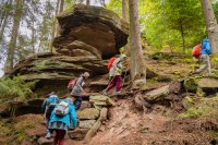 Wandern für den guten Zweck im Teinachtal