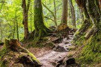 Sommerfrische in Pfronten im Allgäu – mit Alpenblick statt Schweißausbruch