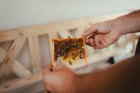 Frühlingserwachen in der Region Lana