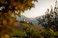 Herbstzeit ist Apfelzeit – die Region Lana feiert die Vielfalt der Frucht