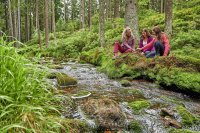 Wasser vom Dach Europas – alles im Fluss im Fichtelgebirge