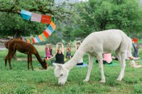 Kurze Auszeit, große Wirkung 