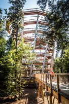 Nördlicher Schwarzwald - Baumwipfelpfad / Copyright: Alexander Kijak