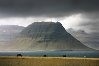 Katla Travel - Berg Kirkjufell - Halbinsel Snæfellsnes