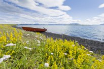 Katla Travel - Nordisland Myvatn See mit Boot - Thomas Linkel