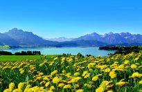 KönigsCard - Forggensee - Bildautor: Pfronten Tourismus, E. Reiter