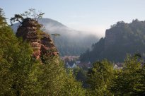 PFALZBLICK WALD SPA RESORT - Natur