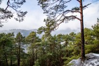 PFALZBLICK WALD SPA RESORT - Natur