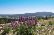 Ferienregion Fichtelgebirge - Waldstein mit Blick auf Weißenstadt - Dieter Bartsch