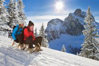 Pfronten - Rodeln Hochalp ©Pfronten Tourismus, Erwin Reiter
