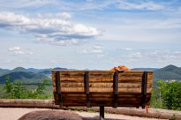 PFALZBLICK WALD SPA RESORT - Premiumwanderweg ©PFALZBLICK WALD SPA RESORT