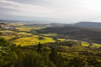 Albstadt Tourismus - Buchengänge zwischen Hangendem Stein und Backofenfelsen © Albstadt Tourismus