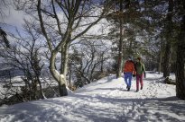 Albstadt Tourismus - Premium-Winterwanderweg Wintertraufgang © Albstadt Tourismus