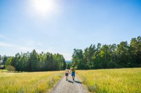 Nördlicher Schwarzwald - 7-Berge-Weg