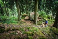 Nördlicher Schwarzwald - Der Teinacher - Matildenstaffeln