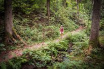 Nördlicher Schwarzwald - Wasser-, Wald- und Wiesenpfad - Rötelbachtal
