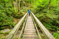 Nördlicher Schwarzwald - Grosse Runde über die Teufelsmühle / Copyright: Alex Kijak