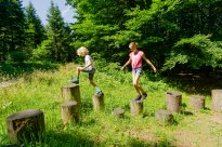Nördlicher Schwarzwald - Wildkatzenwalderlebnispfad / Copyright: Tourismus- und Stadtmarketing Bad Herrenalb Alex Kijak