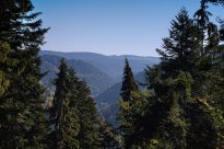 Nördlicher Schwarzwald - Wolfsgrubenweg / Copyright: Stadt Neubulach