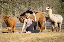 Pfronten - Alpaka-Yoga (2) ©Pfronten Tourismus