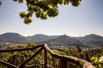 PFALZBLICK WALD SPA RESORT - Wandern