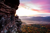 PFALZBLICK WALD SPA RESORT - Pfälzerwald im Herbst