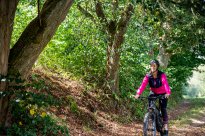 PFALZBLICK WALD SPA RESORT - Radfahren