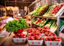 Südpfalz - Frische Lebensmittel aus dem Gemüsegarten Deutschlands (c) Britta Hoff