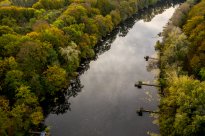 Südpfalz - Der Althrein bei Jockgrim aus der Luft