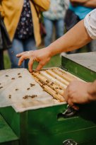 lanaregion.it_Franziska Unterholzner_Blütenhöfefest 