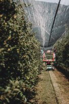 lanaregion.it_Maike Wittreck_Apfel