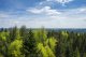 Grüner Urlaub im Nördlichen Schwarzwald